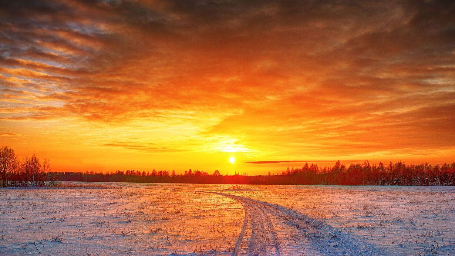 , Фотов Ренат