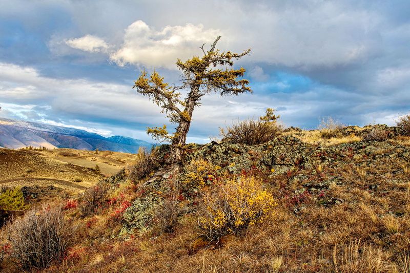 Жизнь в борьбе фото превью