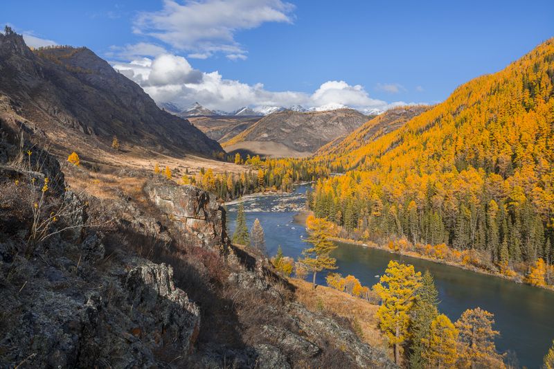 россия, горный алтай, река чуя, осень Скоро вечер фото превью