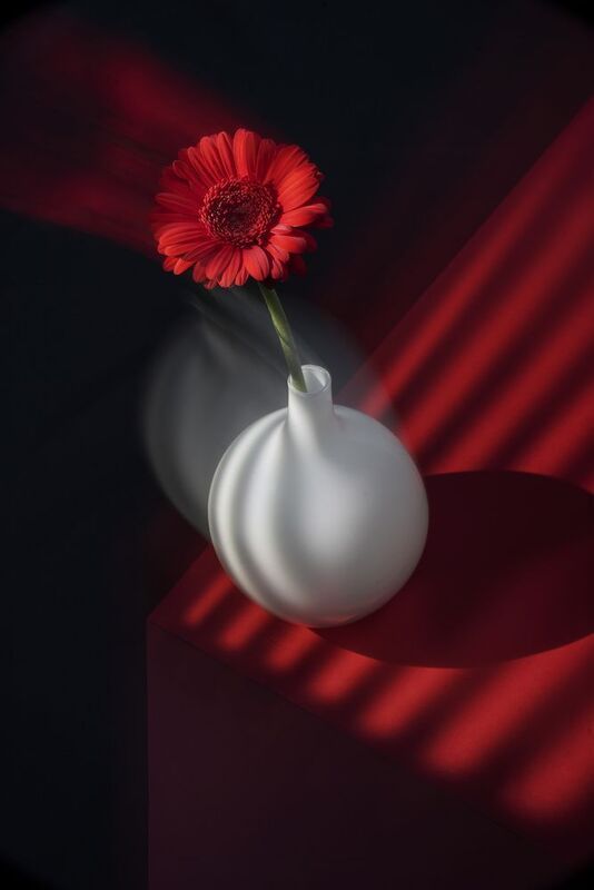 натюрморт, красный, цветок, still life, red, flower, shadow, тень Про красный фото превью