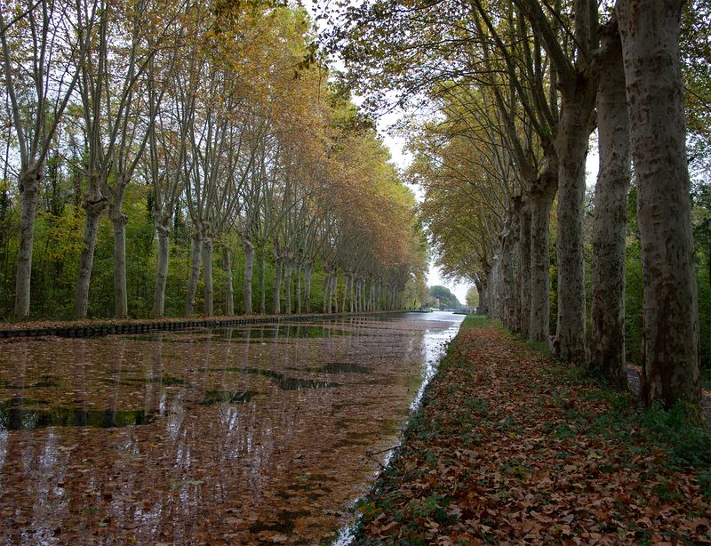 осень, листопад, канал, франция, эльзас, страсбург Эльзасская осень фото превью