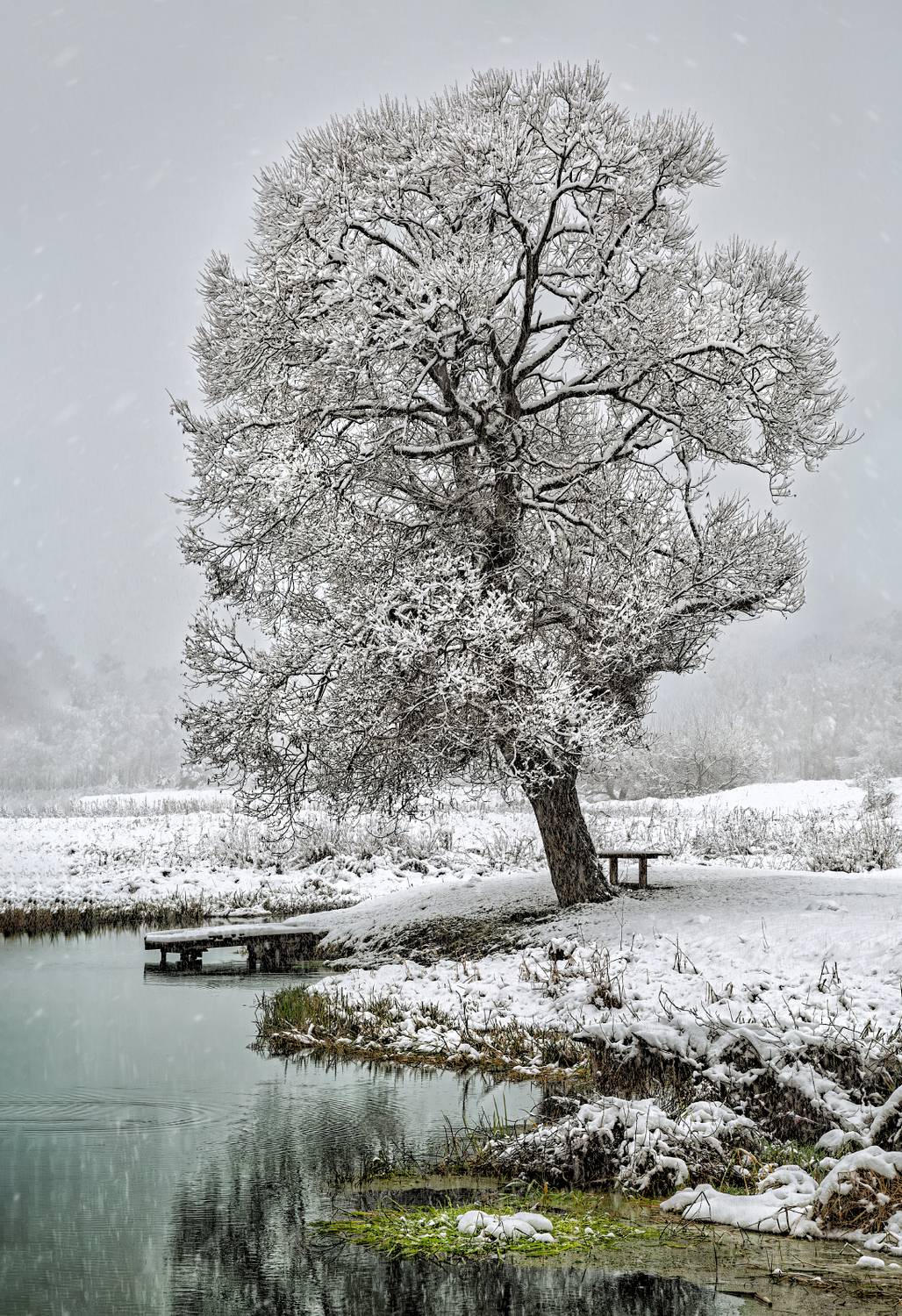 , Евгений Ерохин