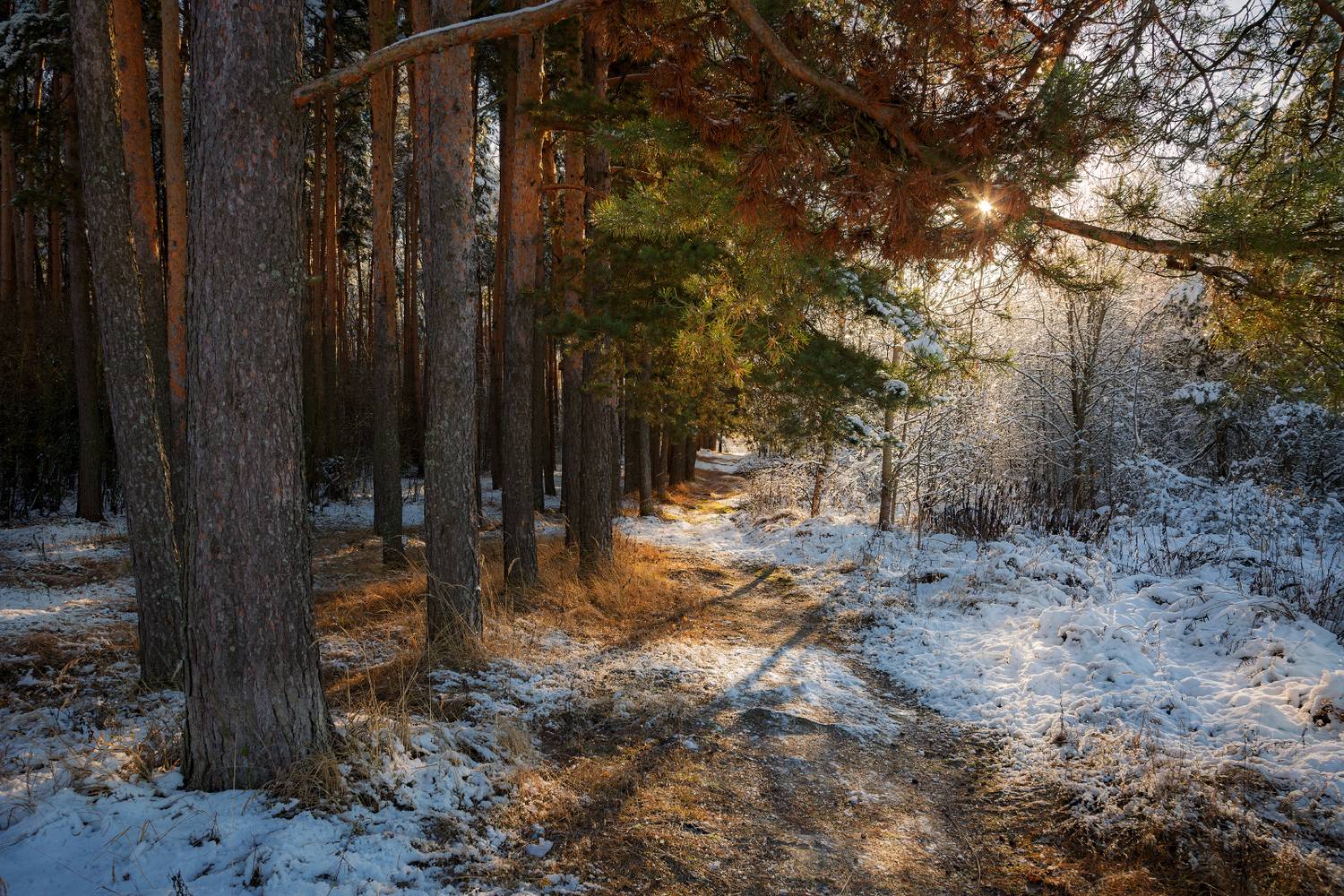 , Евгений Ерохин