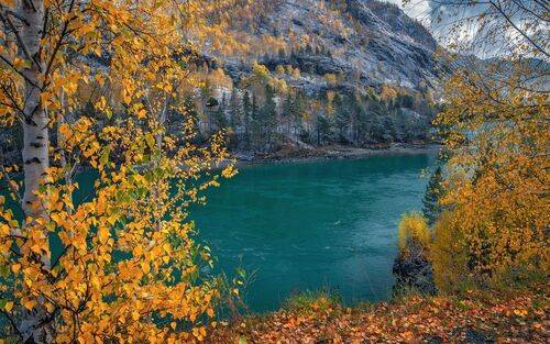 Солнечный берег....