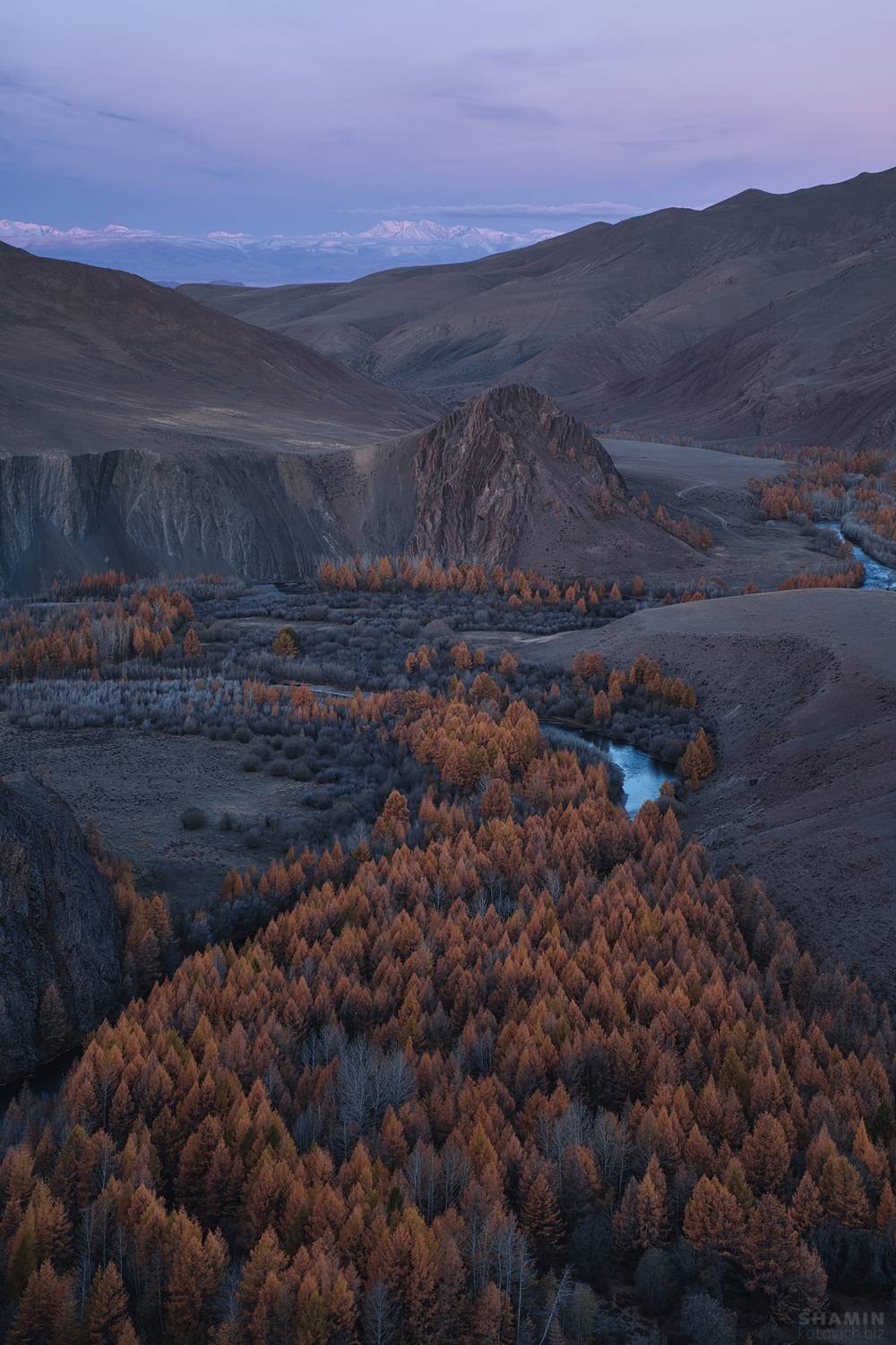 , Константин Шамин