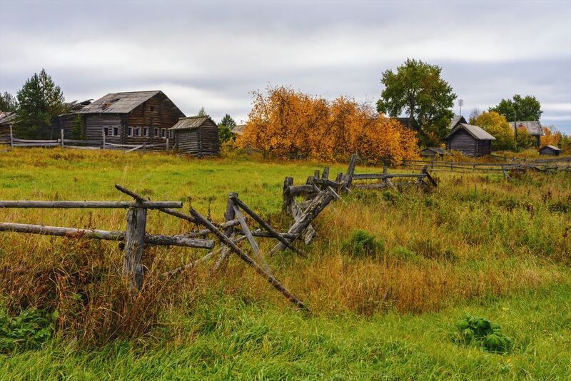 осень, сентябрь, деревня, пинега, дома, амбары, забор, заборчик, трава, деревья, кусты, заросли Уходящее... фото превью