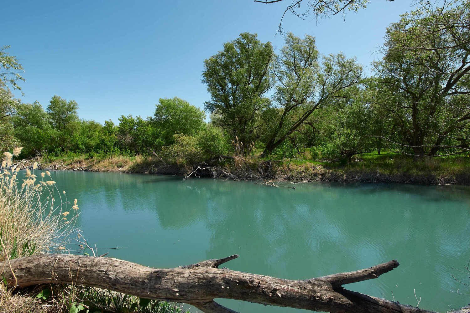 меловые горы, речка голубая, волгоград, россия., Павел Сторчилов
