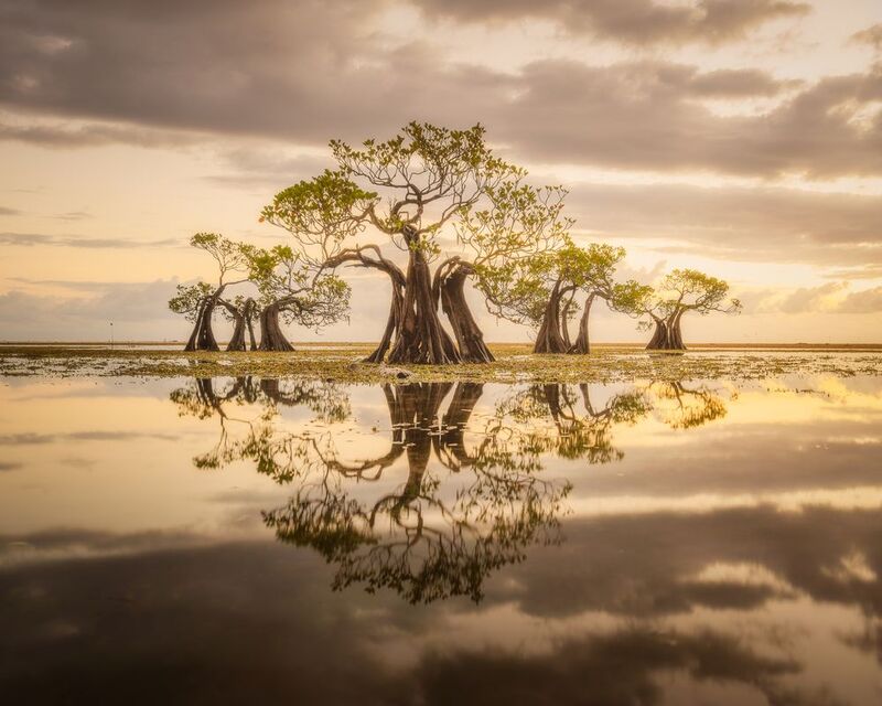 Big Fish фото превью