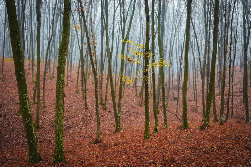 2025 фото превью