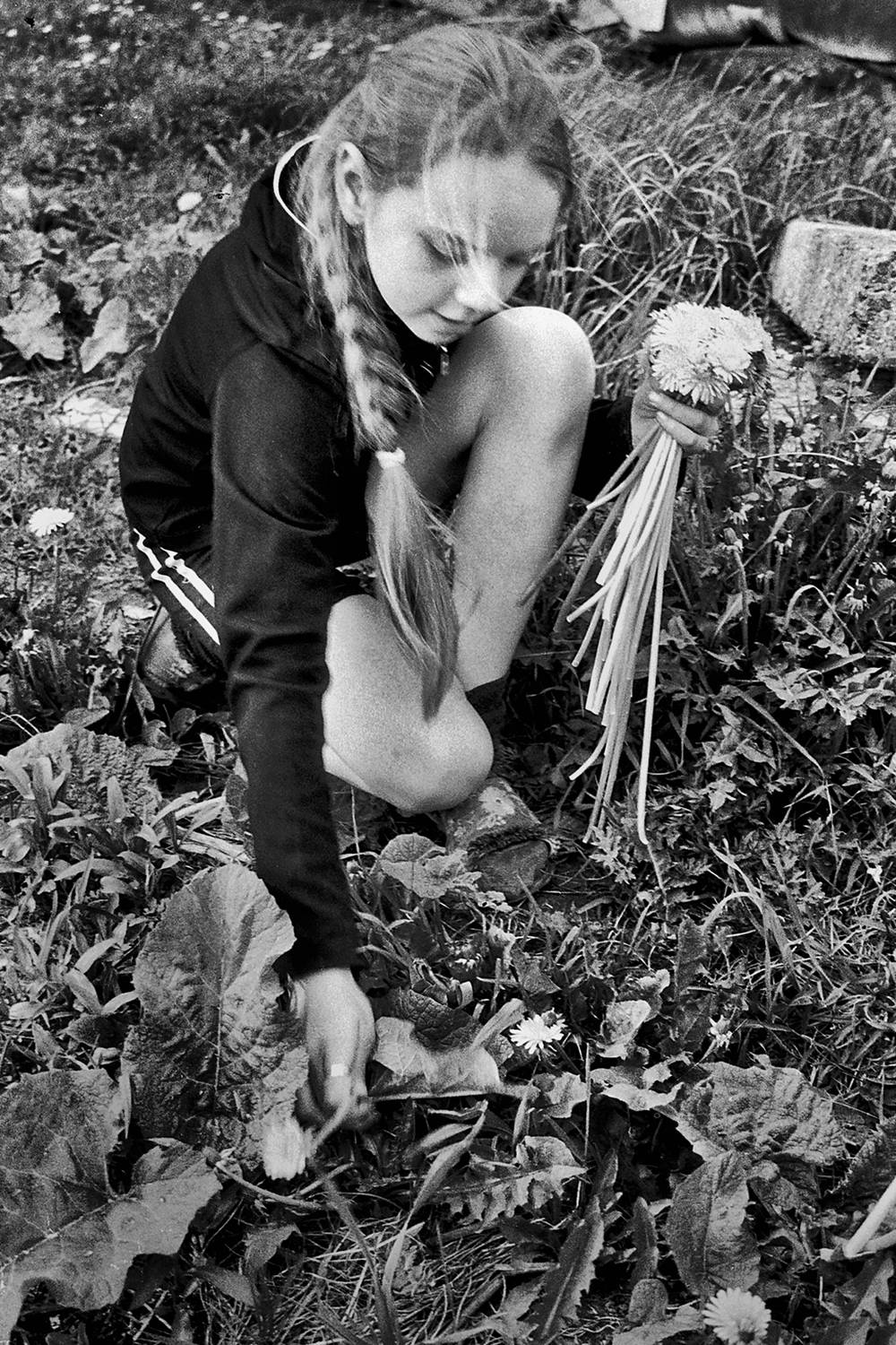 дети, девочка, чб, апатиты, цветы, Николай Смоляк