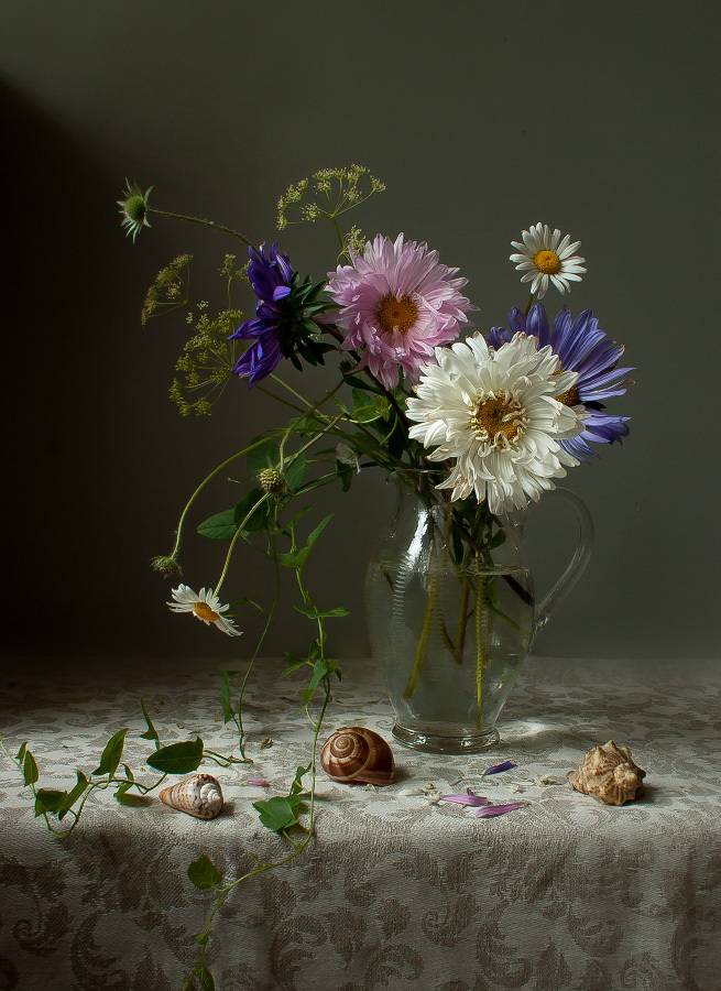 цветы, астры, букет, Колеснева Елена