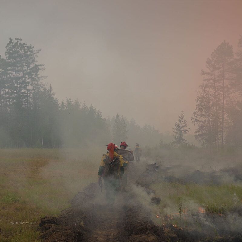 *** фото превью