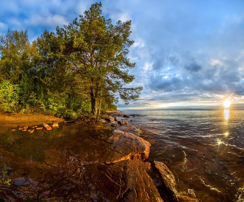 ленинградская область, рассвет, лето, осень, небо, красочное, дерево, облака, лес, водоём, озеро, пруд, река, рассвет, луг, ладожское озеро, отражение, берёза, Из серии «Пейзажные картины» фото превью