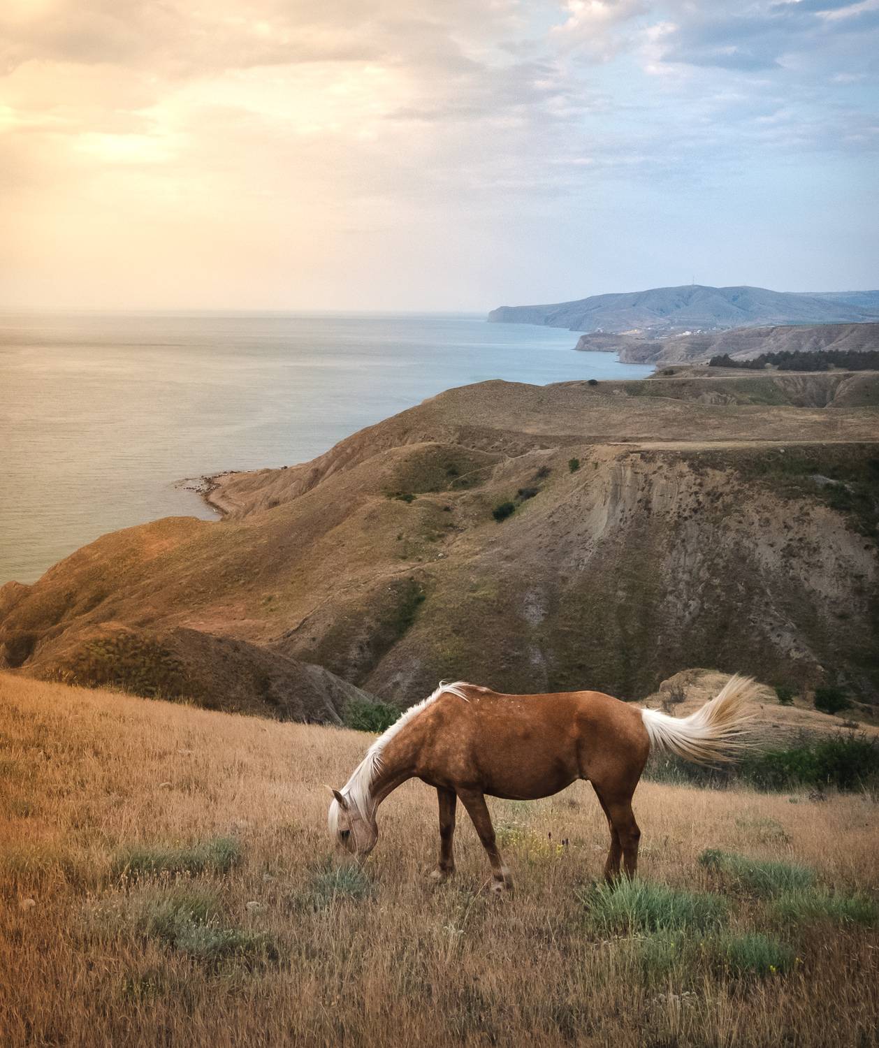 , Коротеев Вадим