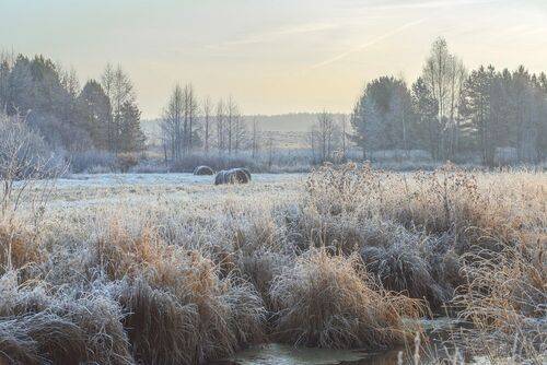 Посеребрило.