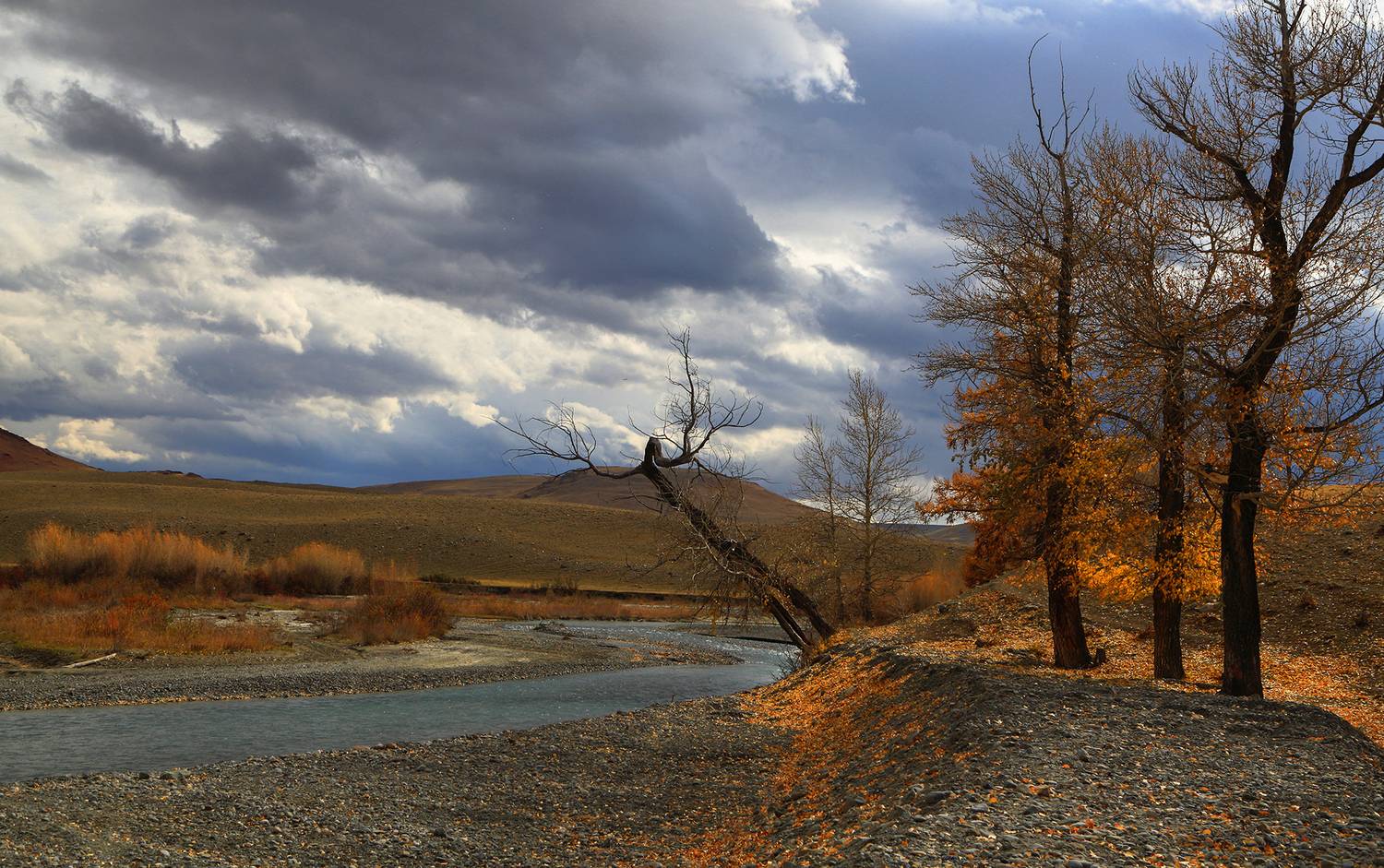 , Евгений Зинов