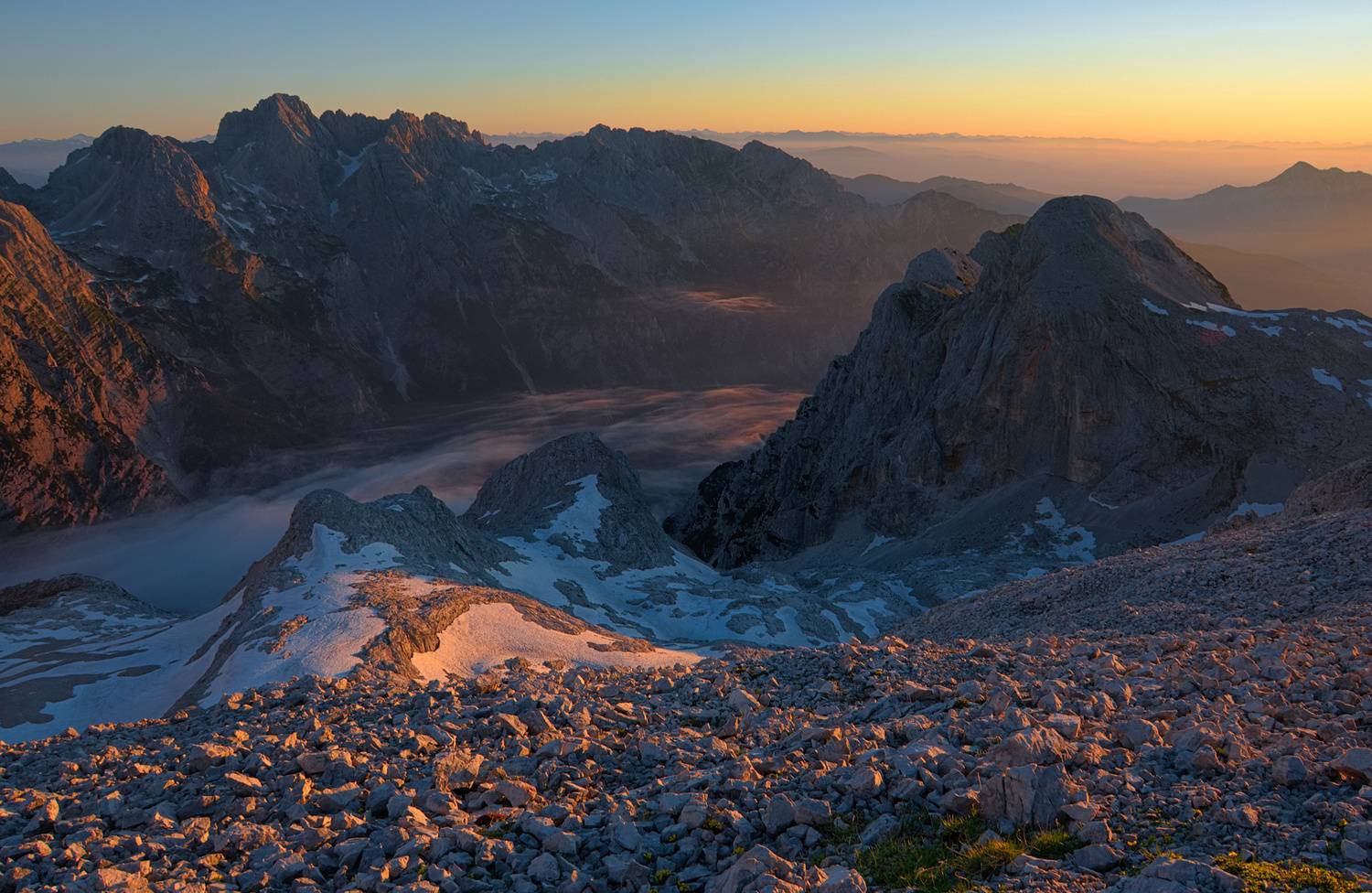 , Wojciech Tarnowski