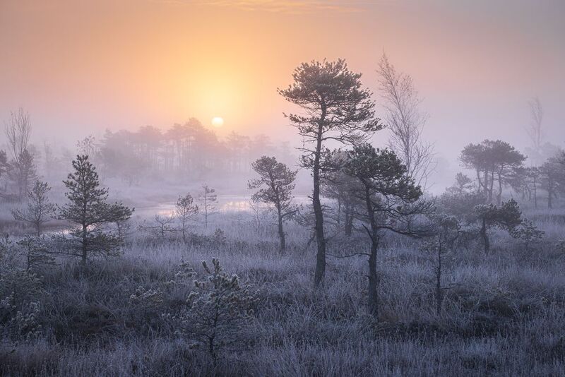 Холодный рассвет фото превью