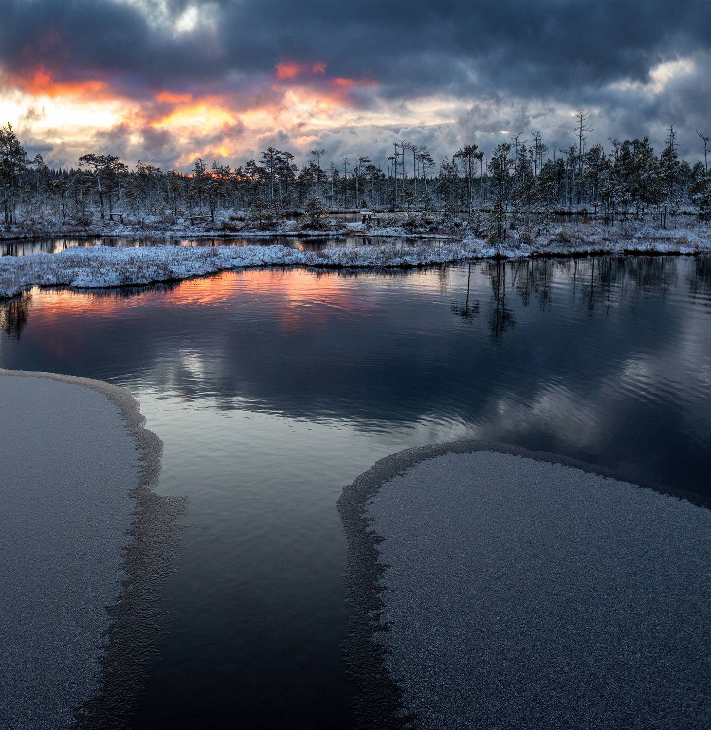 болото, карелия, зима, ноябрь, утро, рассвет, фототур, Павел Ващенков