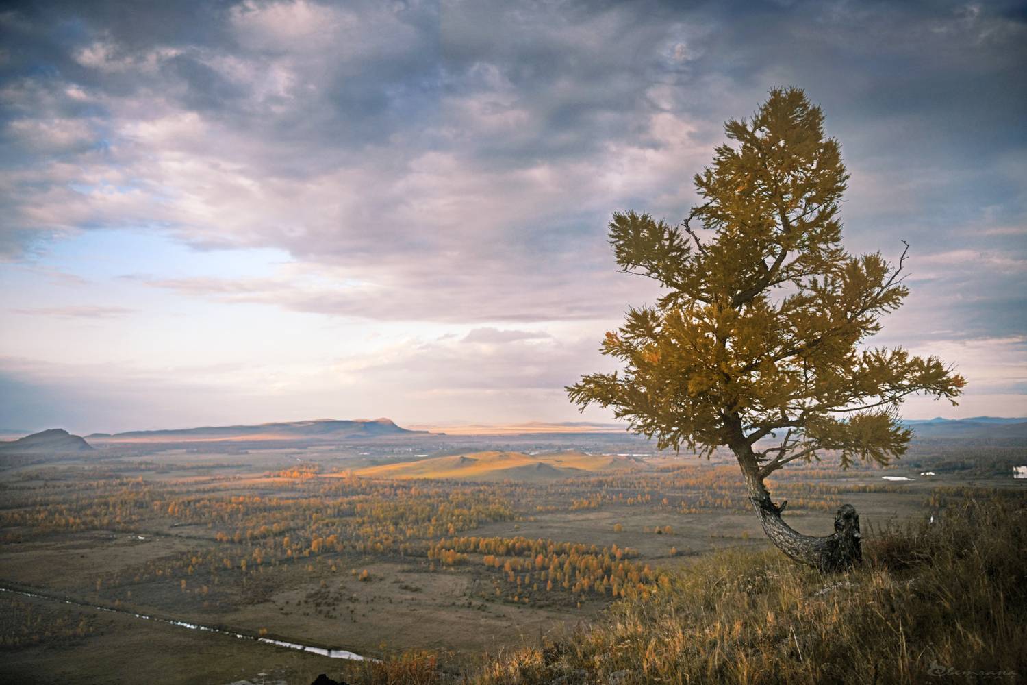 , Крат Светлана