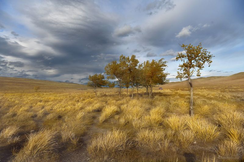 Осень в Хакасии фото превью
