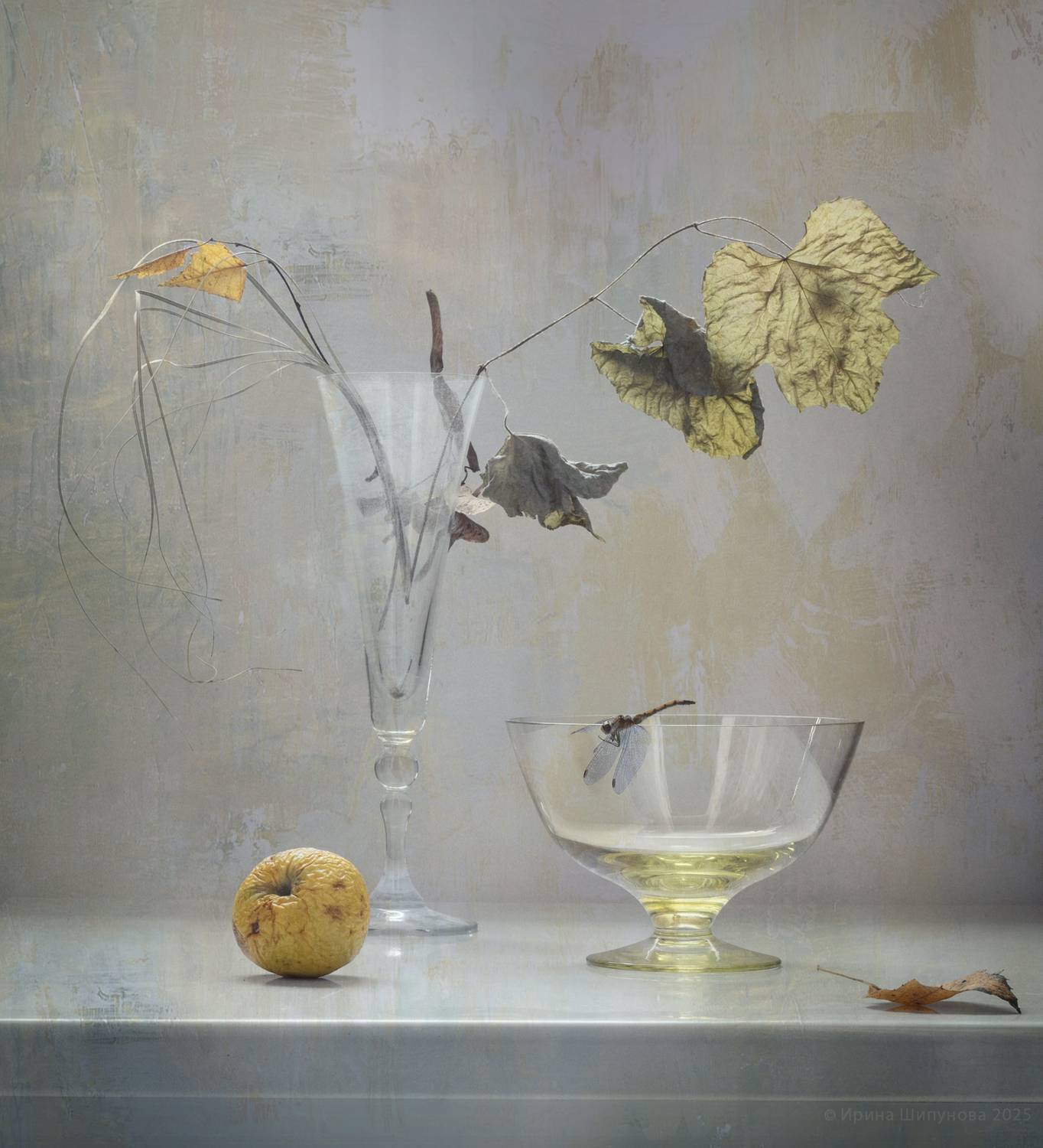 , Шипунова Ирина