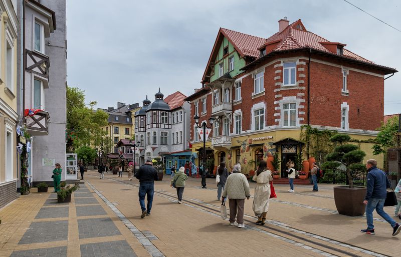 РФ. Калининградская область. Зеленоградск  Зеленоградск - город кошек фото превью