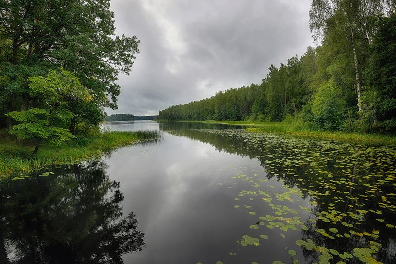 *** фото превью