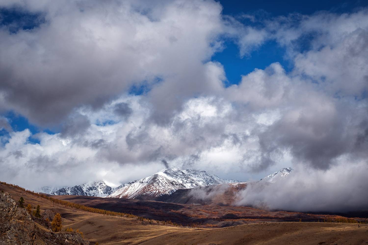 , Бодрягин Виталий