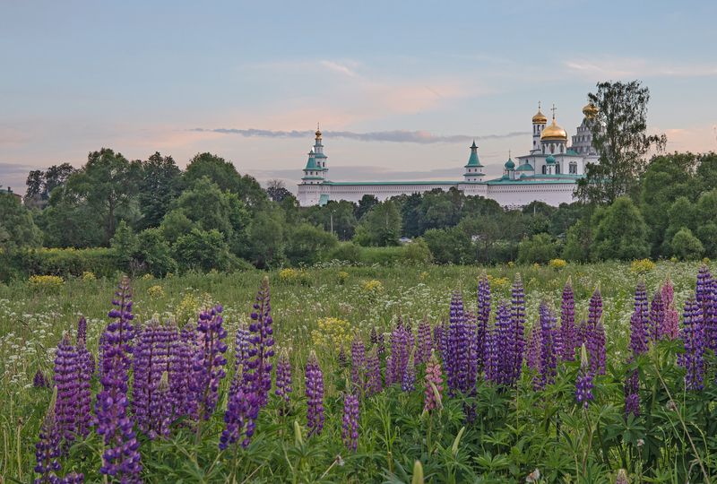 истра Новый Иеруссалим фото превью