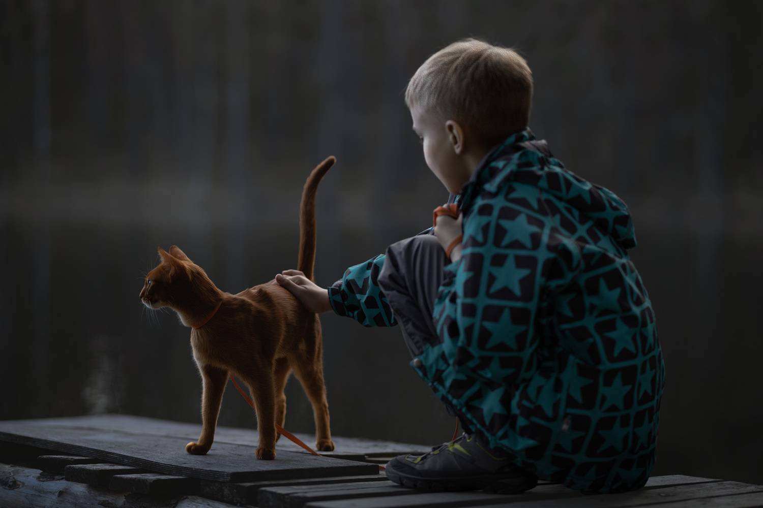 , Елена Михайлова