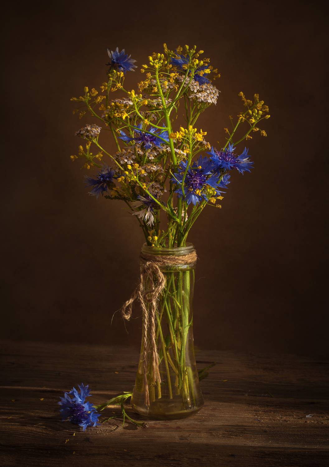 , Хвойнова Елена