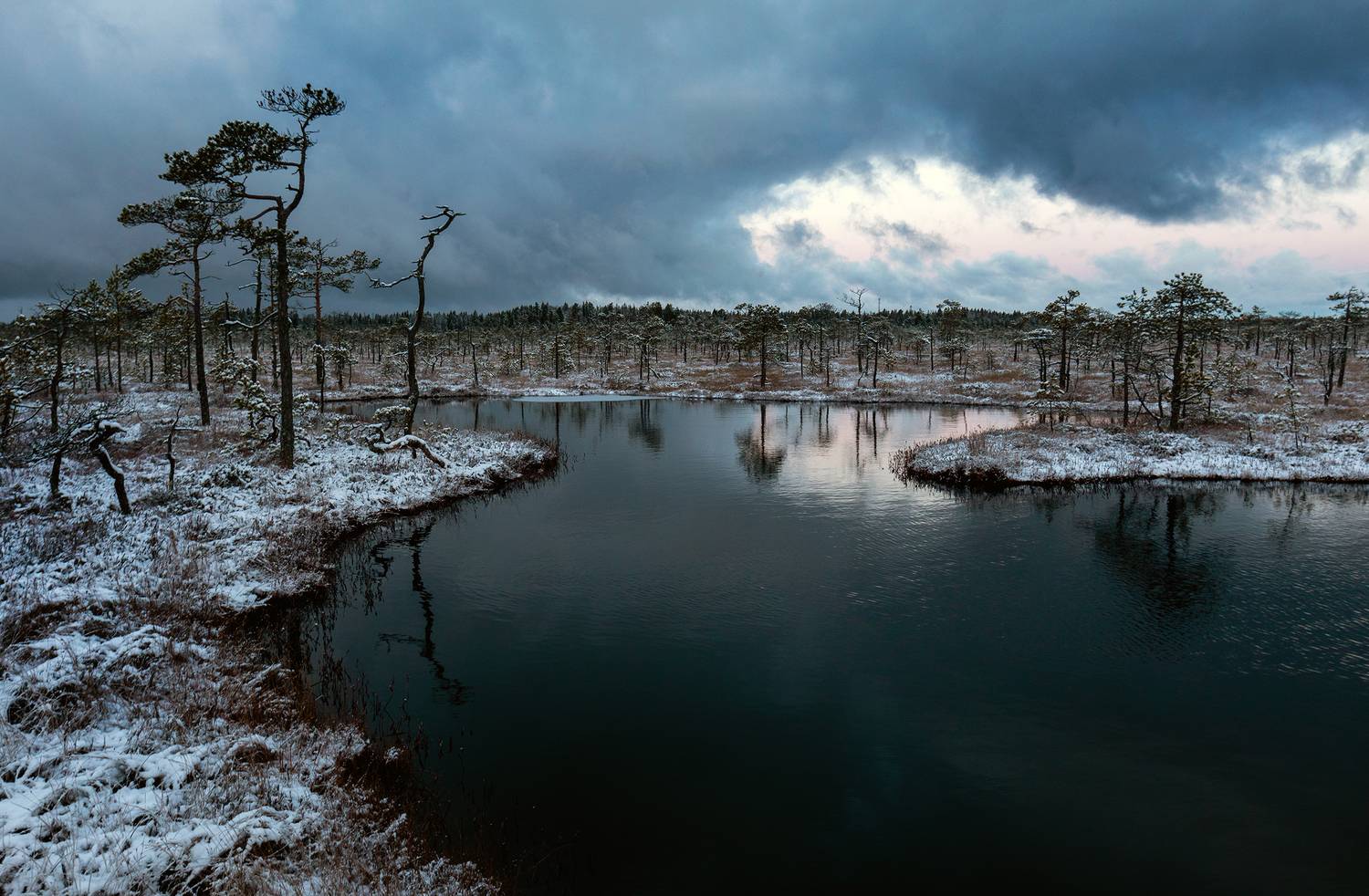 болото, карелия, туман, утро, рассвет, фототур, Павел Ващенков