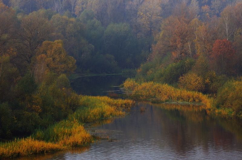 Осенний пейзаж фото превью