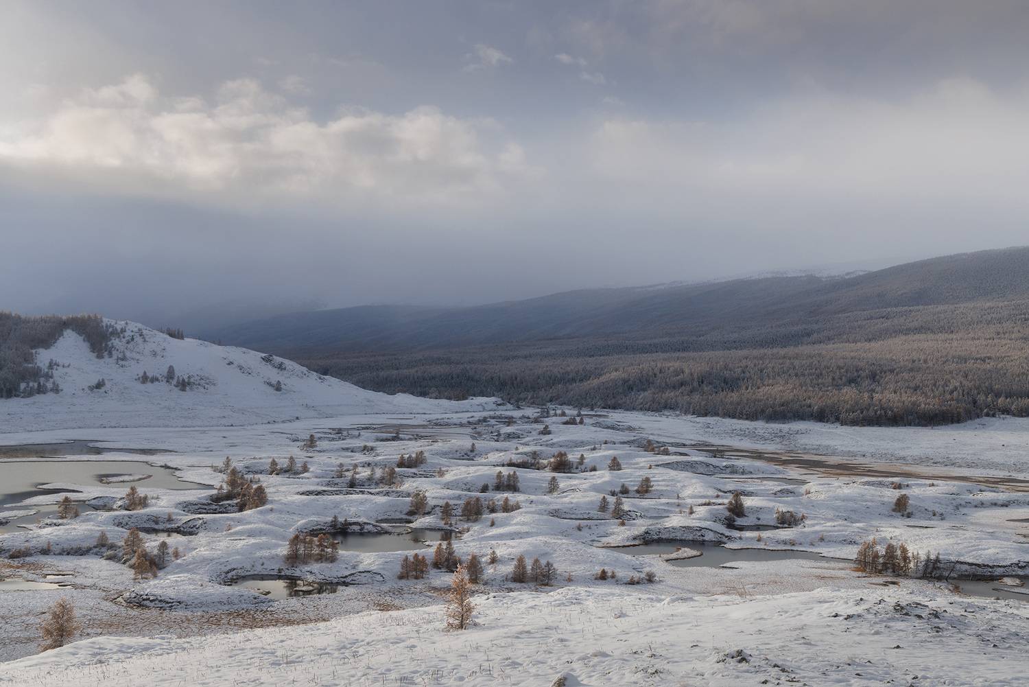 , Морозов Сергей