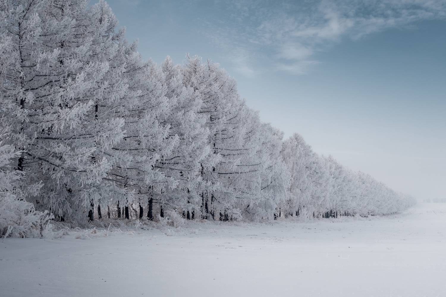 , Иван Сазыкин