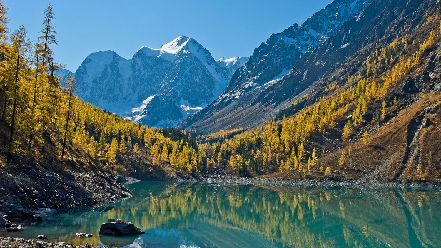 алтай, семёновское, озеро, мечта, красавица, сказка, осень, лиственницы, утро, Мальцев Юрий