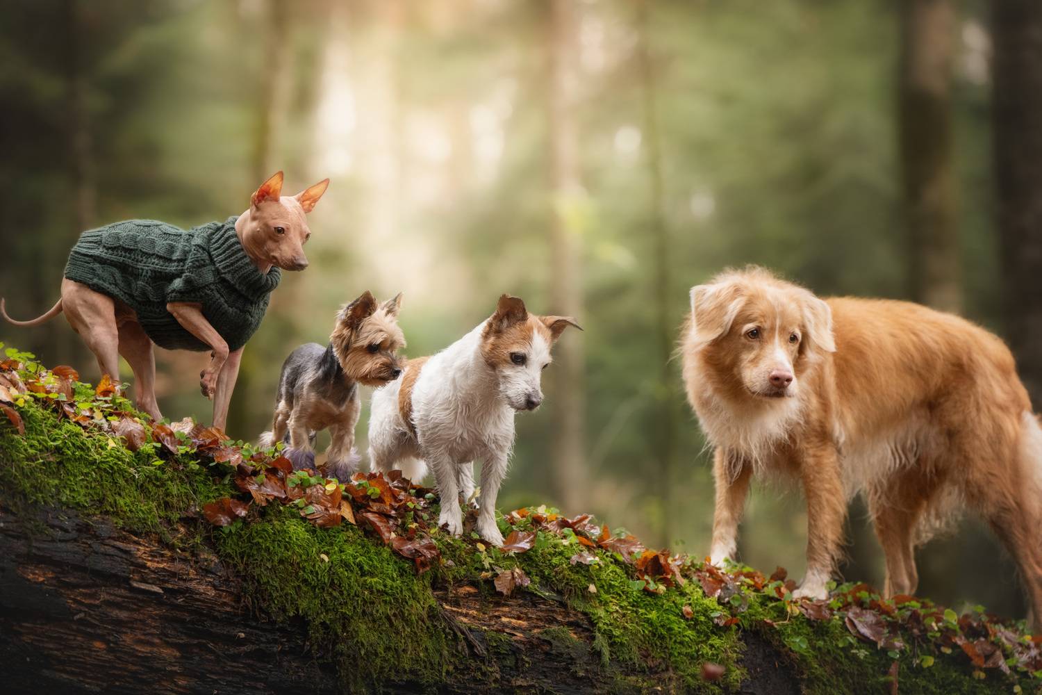 , Андрианова Ирина