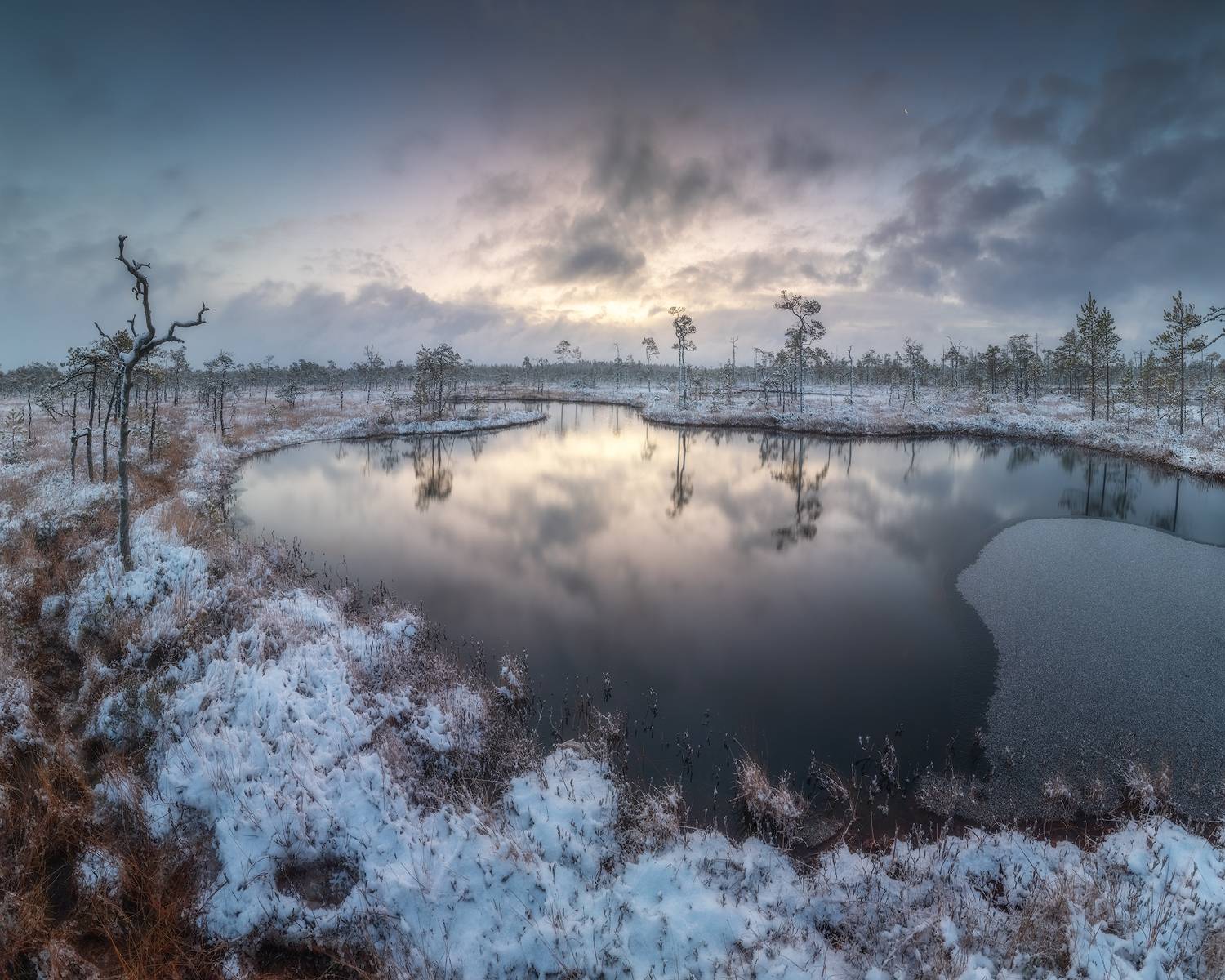болото, ленобласть, ноябрь, рассвет, Марголин Алексей