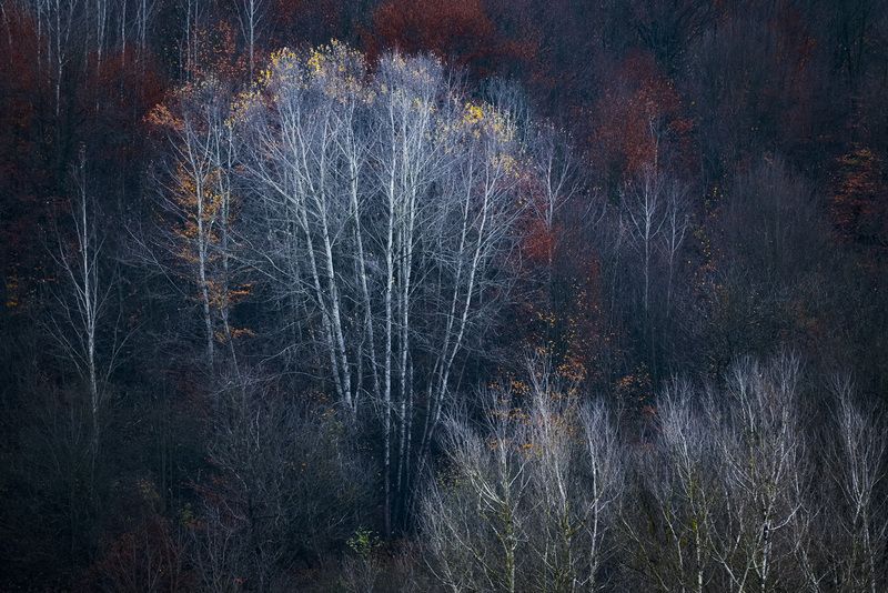 2025 фото превью
