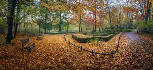 Autumn’s Embrace