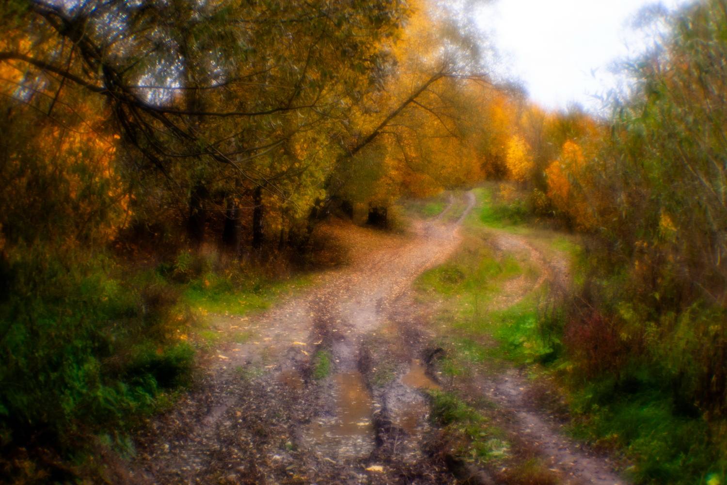 , Юрий Морозов