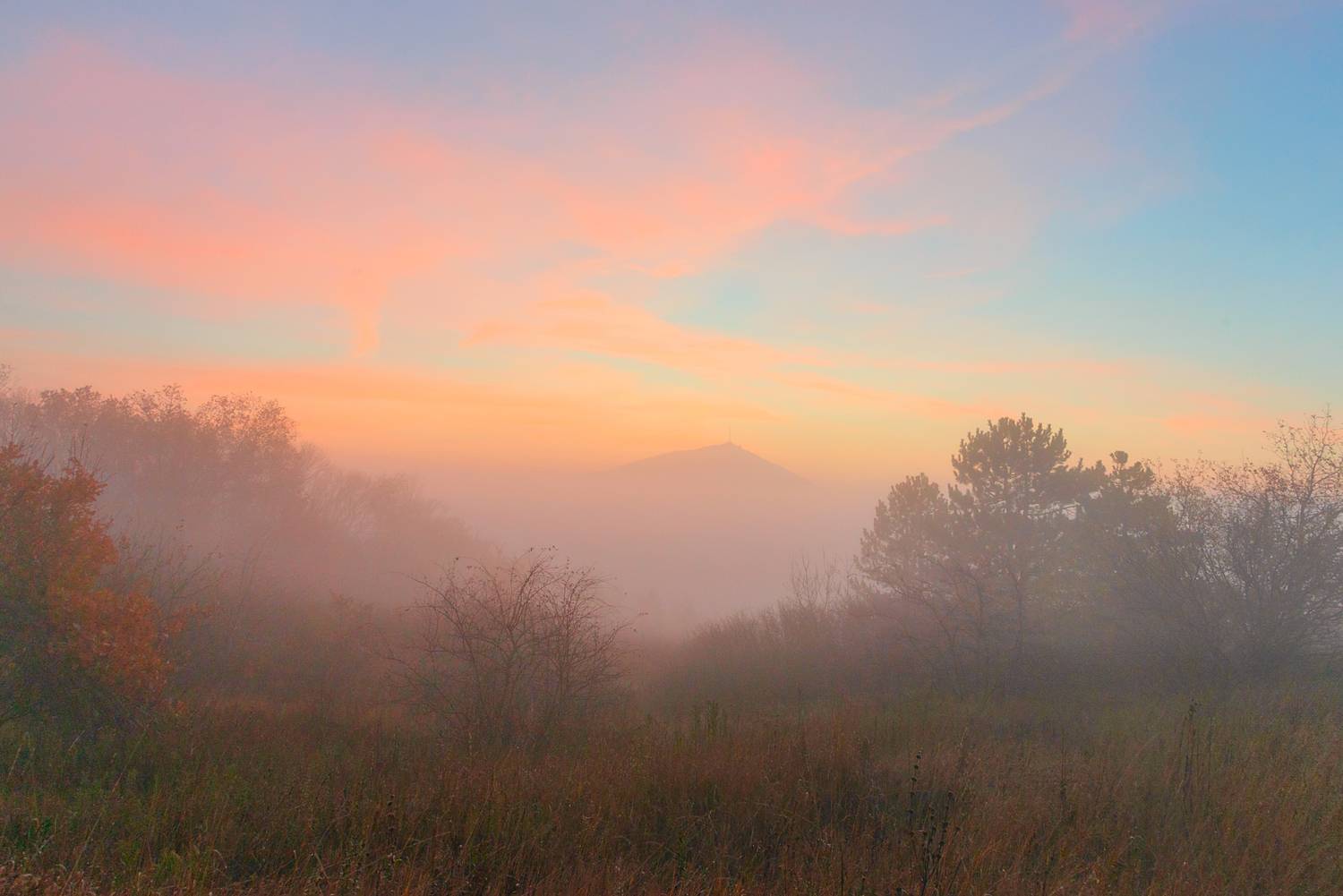 туман,утро,рассвет,пейзаж,ноябрь, Елена Брежицкая