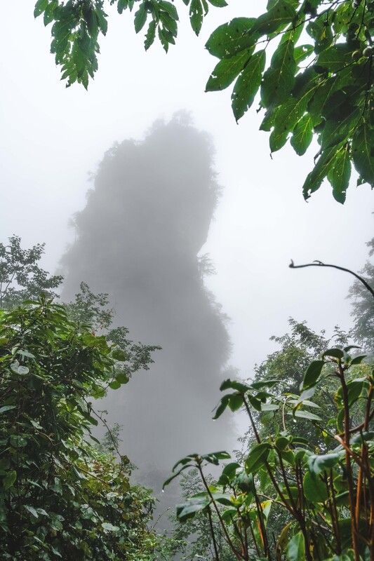 Завораживающий мир каменных Исполинов Чжанцзяцзе… The fascinating world of the stone Giants of Zhangjiajie... фото превью