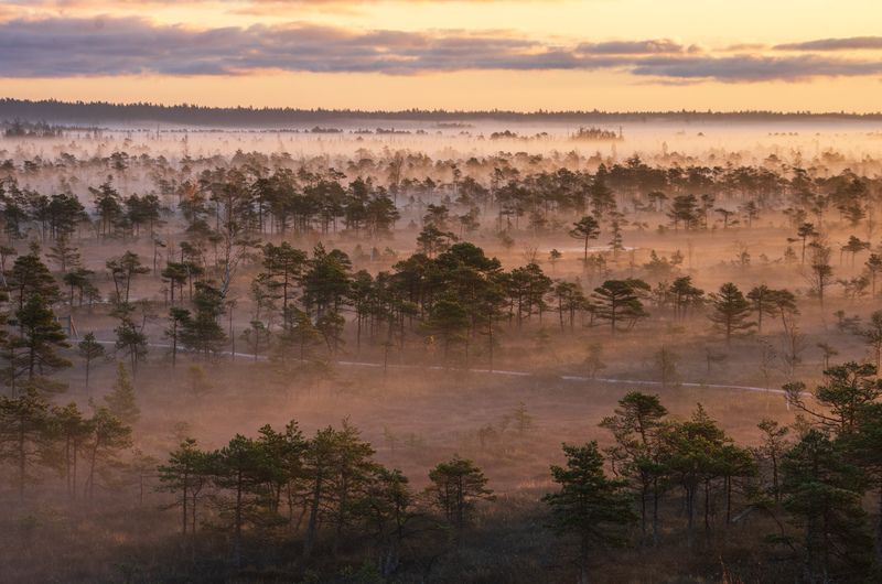 Осенним утром фото превью