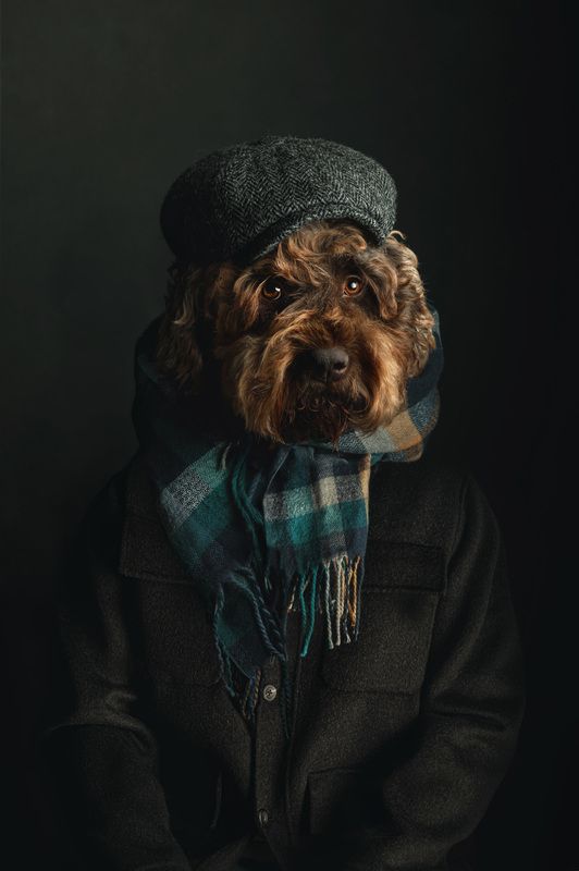 Pinot Noir фото превью