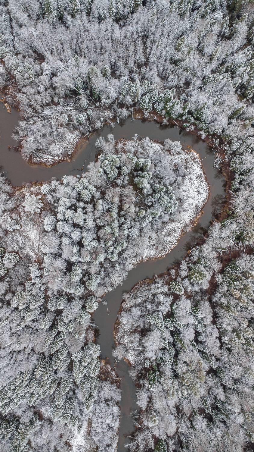 , Шуплецов Алексей