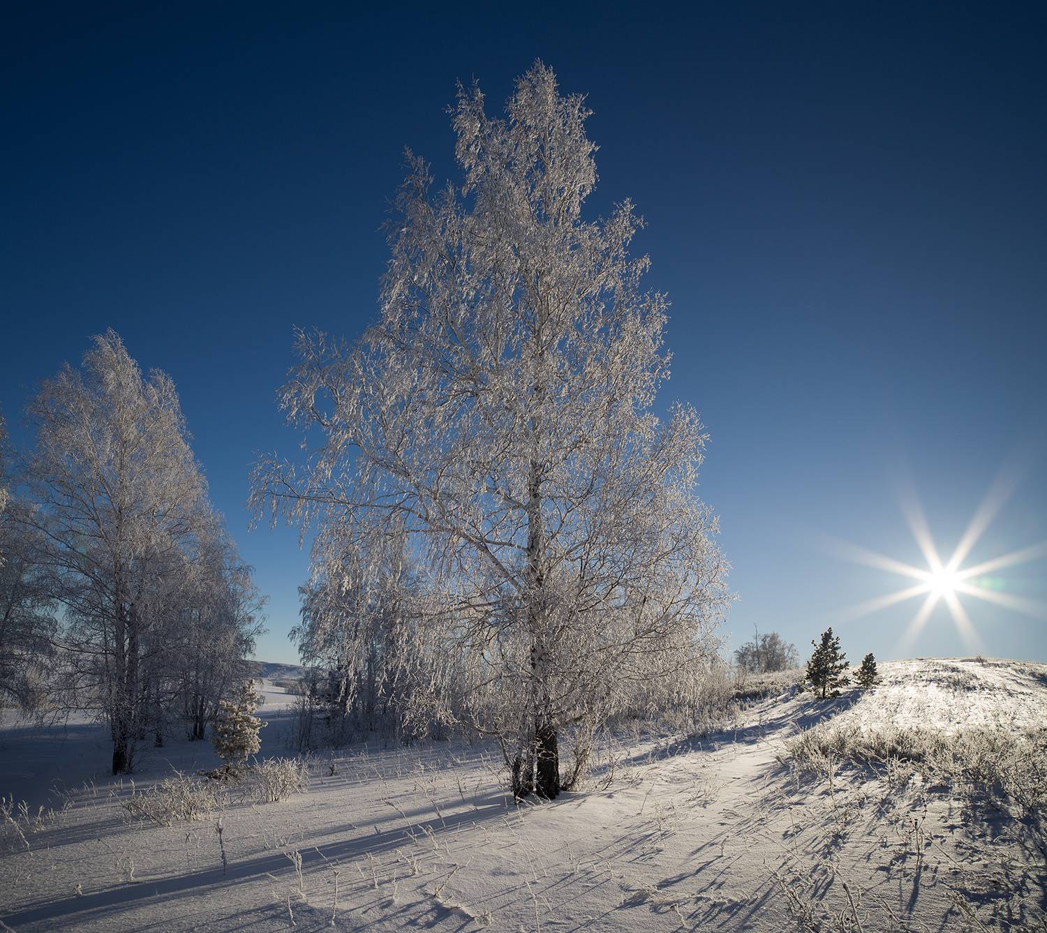 , Шустиков Дмитрий