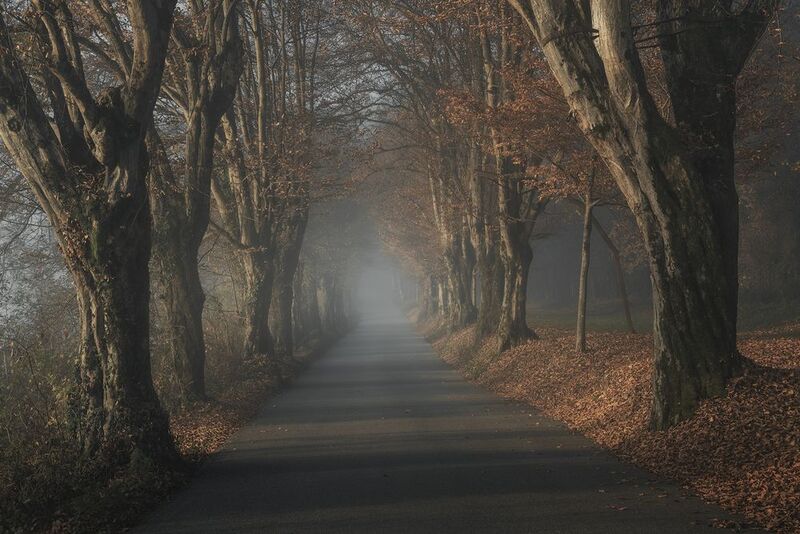Along the Forgotten Path фото превью