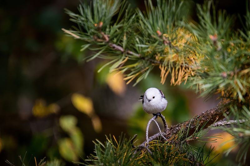 ополовник, длиннохвостая синица, синица, птица ополовник фото превью